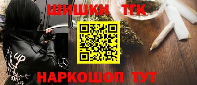 крисы Камышлов