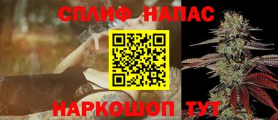 крисы Камышлов