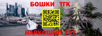 крисы Камышлов