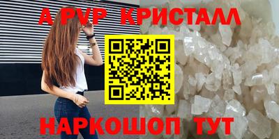 крисы Камышлов