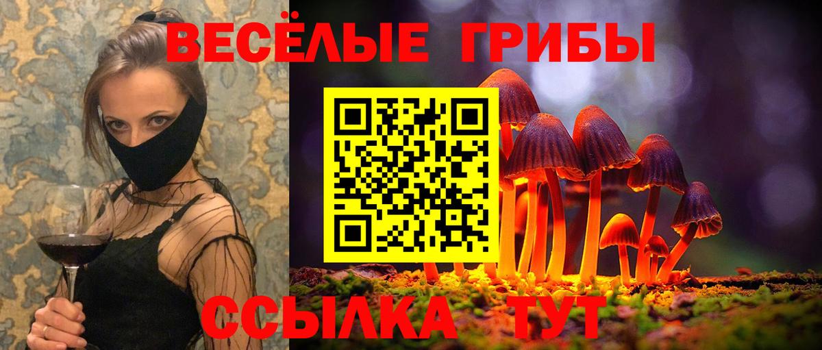 Галлюциногенные грибы Cubensis  Псилоцибиновые грибы мицелий  Вход с VPN  Лангепас 